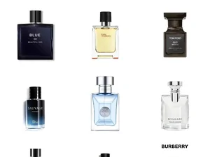 A grid of perfume bottles of different shapes on white